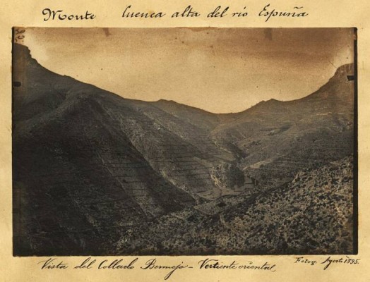 De cumbres peladas a bosques frondosos: la épica de Codorníu que transformó Sierra Espuña

