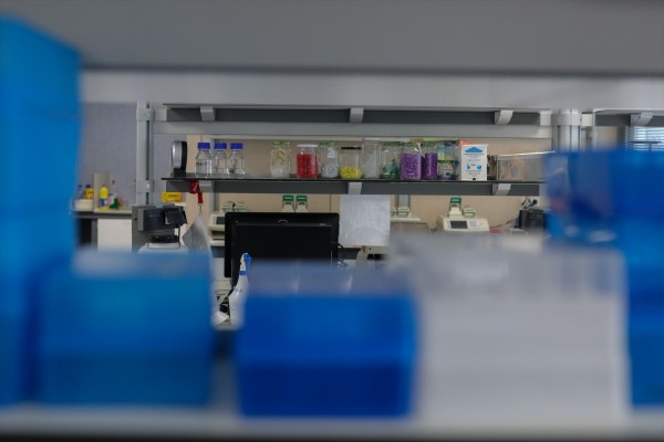  Ivace+i financia el desarrollo de nuevos materiales para optimizar el almacenamiento de hidrógeno