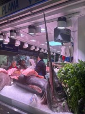Mónica Oltra carga contra Puerto Mediterráneo: 