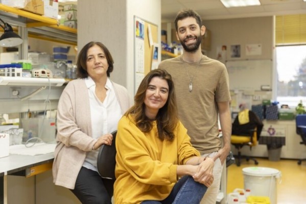 Abren nuevas vías para tratar el sarcoma de Ewing tras identificar mecanismos que aumentan su agresividad
