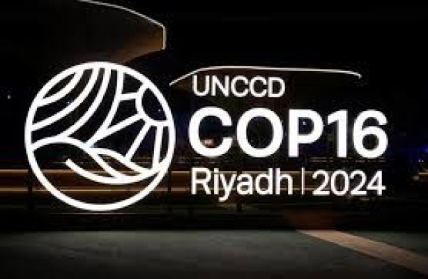 Arabia Saudí refuerza su compromiso con la sostenibilidad en la Conferencia contra la Desertificación de la ONU