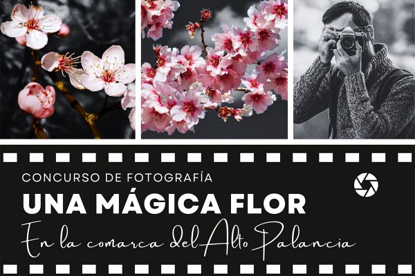 La Cooperativa de Viver organiza un concurso de fotografía para celebrar la floración del almendro