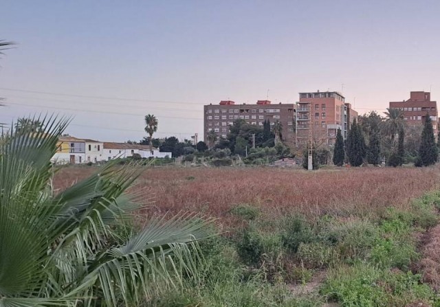Metrovacesa presenta el PAI de Benimaclet: 1.345 viviendas (400 VPO) y más parques y zonas verdes