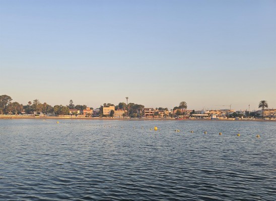 Un comité científico para el Mar Menor: el Gobierno busca a los mejores expertos en ecosistemas 