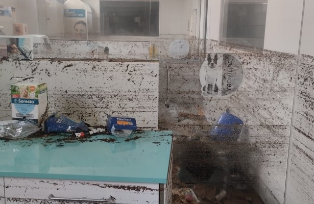 Reabren 19 de los 27 centros veterinarios dañados por la Dana