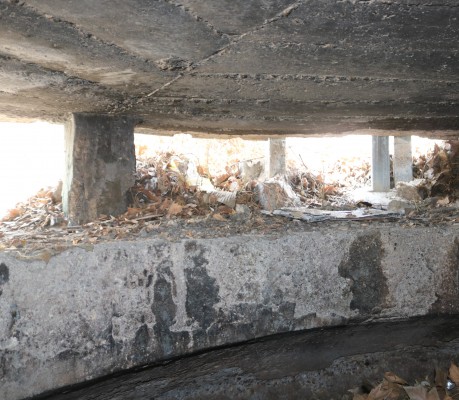 Cultura declara Bien Inventariado las casamatas y galerías de tiro del antiguo aeródromo de El Palmar
