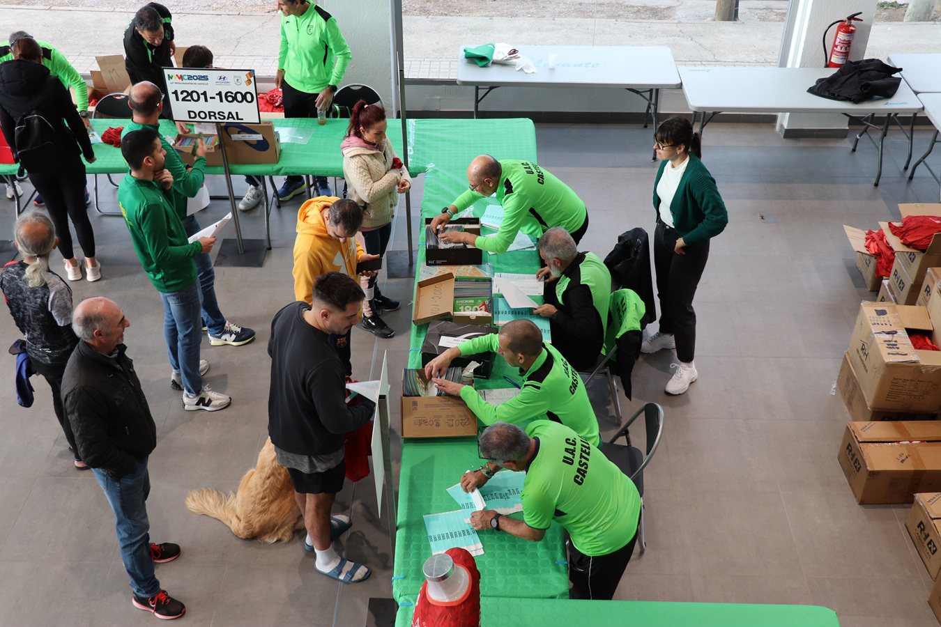 Todo listo para una Media Maratón de Castelló de récord: los 2.270 atletas recogen sus dorsales