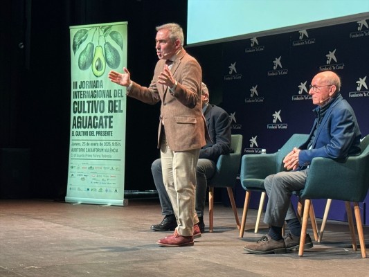 El Ivia trabaja en un plan integral de I+D sobre el cultivo del aguacate en la Comunitat