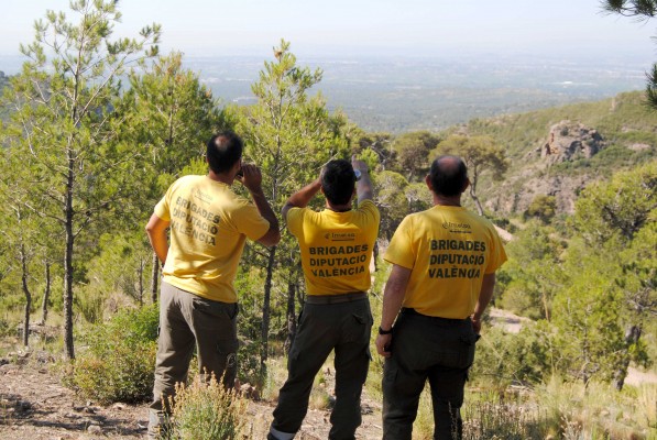 Las brigadas forestales de Divalterra operaron cuatro meses 