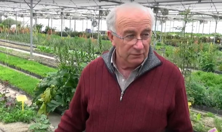 El empresario Josep Pàmies. - 