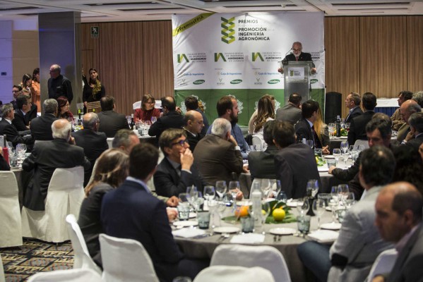 Premios del Colegio de Ingenieros Agrónomos de Levante (Fotos: EVA MÁÑEZ)