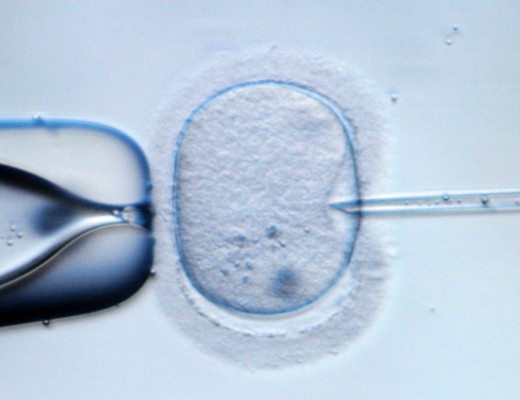 Los remedios caseros no ayudan a aumentar la fertilidad pese a la cultura popular