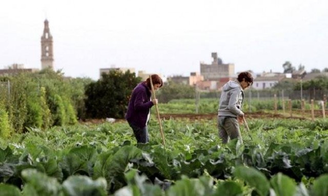 Los jubilados agrarios perciben una pensión un 59% inferior a la media


