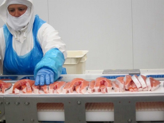 Caladero (Mercadona) reduce un 50% sus pérdidas en 2017 y aumenta un 6% su facturación