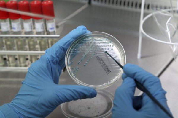 Desarrollan un sistema para provocar la muerte de las células cancerígenas
