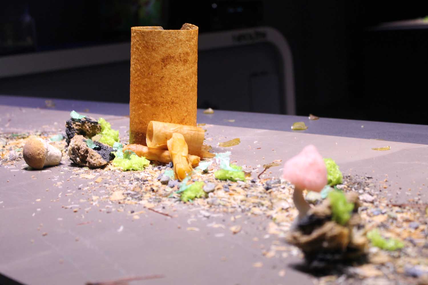 The Valencian Ultrasensorial Experience