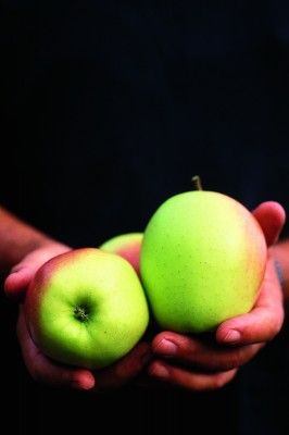 Huesos fuertes con la manzana, rica en boro
