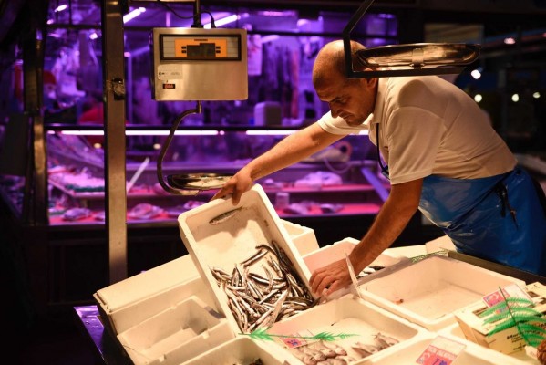 El 49% de los productos aptos para el consumo va a la basura y el 24% se dona en España
