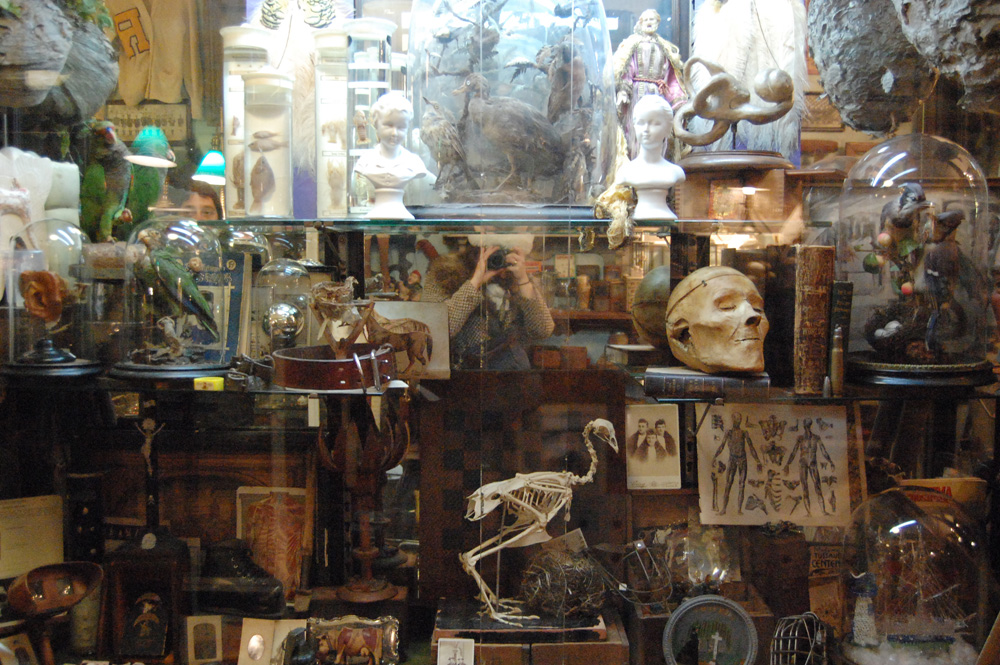 Obscura, tienda de antigüedades raras de Nueva York - 