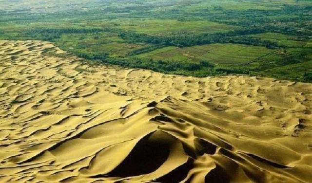 China exporta su Gran Muralla Verde para contener el avance del Sáhara hacia el sur 