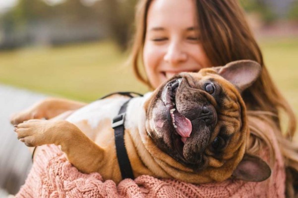 València acoge el primer festival para familias y mascotas de Europa