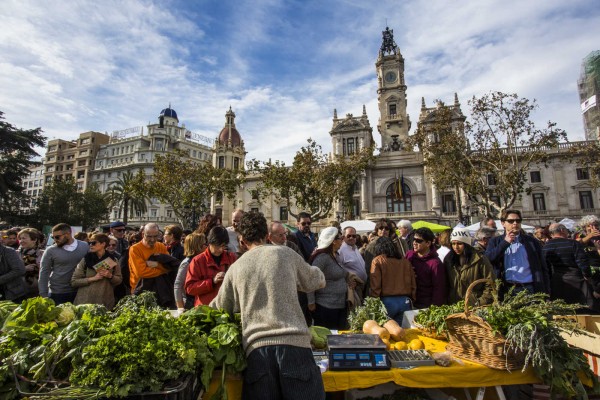 Primer mercado de productores en la Plaza del Ayuntamiento (Fotos: Eva Máñez)