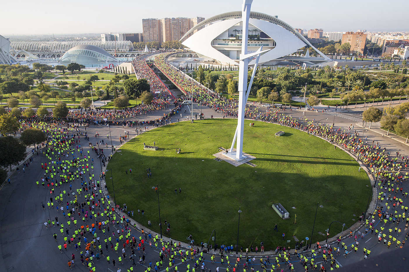 Maratón de Valencia (Fotos: Marga Ferrer)