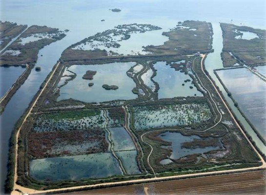 València reclama agua del Júcar para la Albufera para poder recuperarla