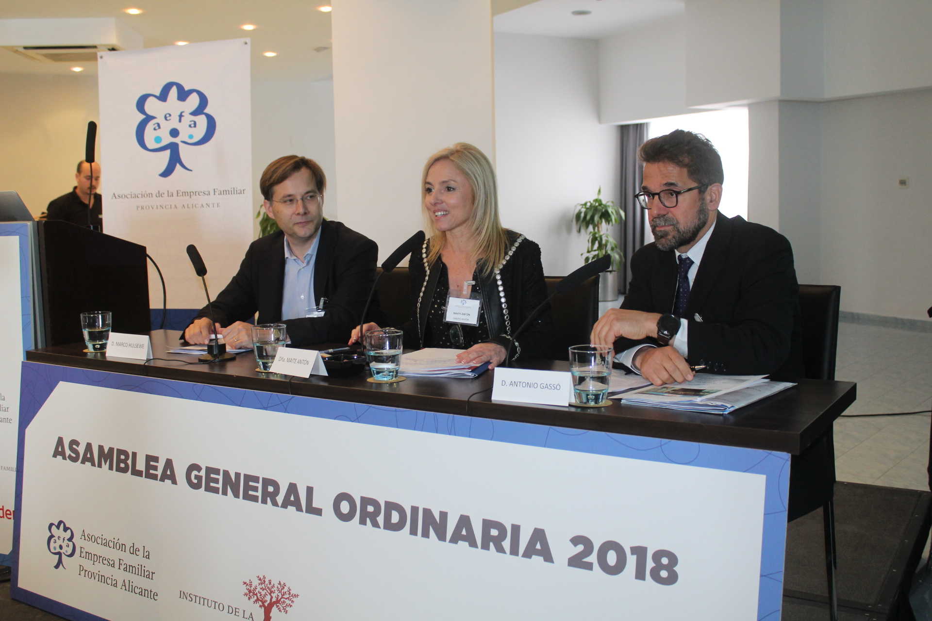 Antonio Gassó (GAES): 