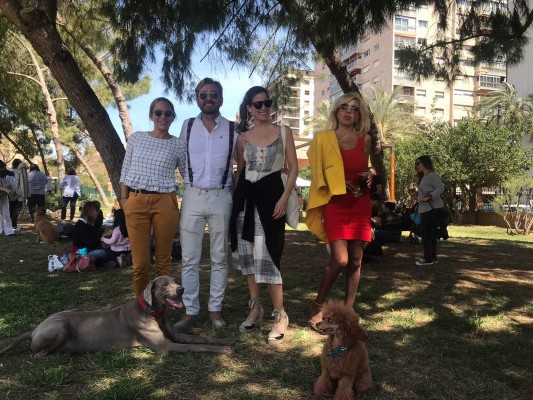 València entre palacios, libros, sucesiones y mercados