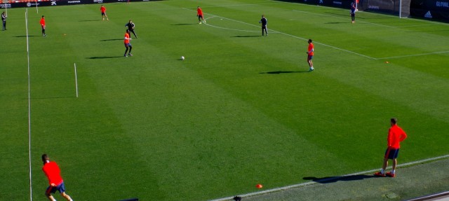 Neville ensaya con Cancelo, Santos, Vezo, Gayà y Zahibo como mediocentro