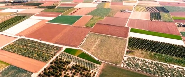 Recuperando la gráfica valenciana desde la huerta
