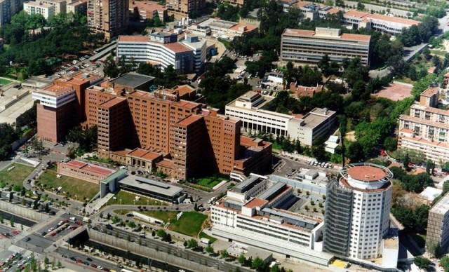 Una 'app' permite controlar a los pacientes con dolor crónico en su domicilio