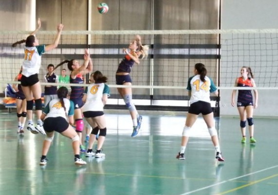 La UV debate sobre los límites actuales y el futuro del deporte femenino
