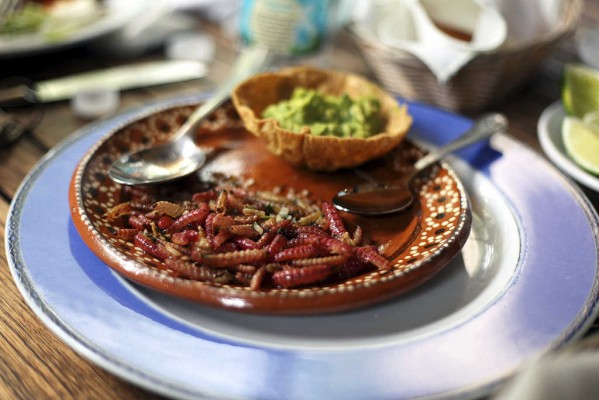 ¡Atención, bichos! Los insectos exquisitos ya han entrado en la restauración valenciana 
