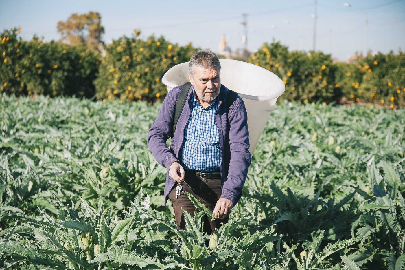 Foto: Kike Taberner - 