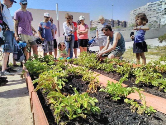 “Tot això serà horta”: així recupera Alacant el verd en comunitat 
