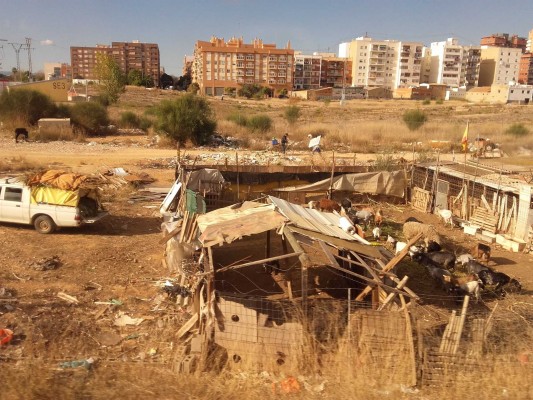 Pacma denuncia al Ayuntamiento de València por ignorar un caso de maltrato animal