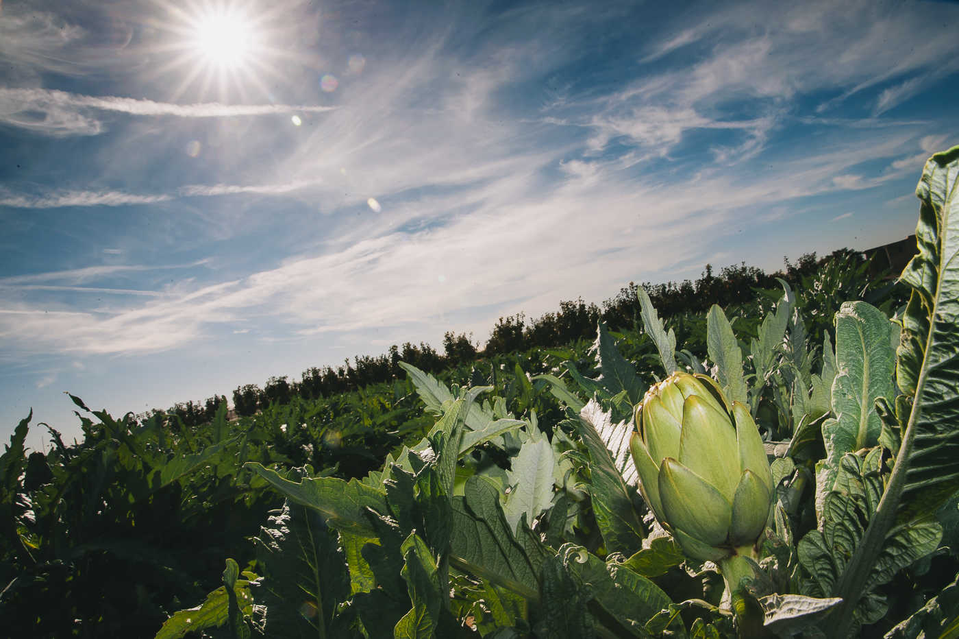 Foto: KIKE TABERNER - 