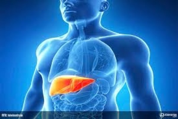 Hepatólogos creen que se puede curar la hepatitis C de genotipo 1 con tratamientos más cortos