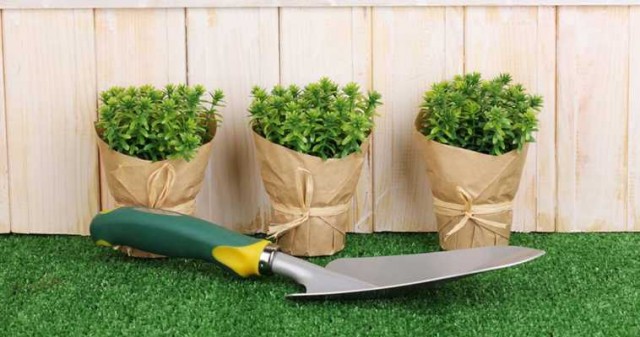El 'shopping' de jardín llega al centro de Valencia