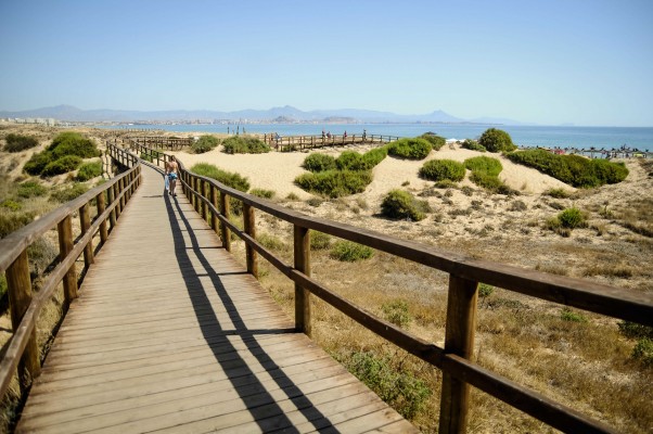 Ambumar vuelve a lograr la adjudicación del servicio de socorrismo para las playas de Elche