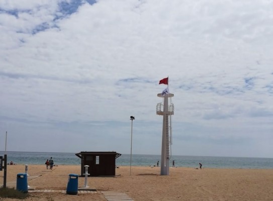 Benidorm, El Campello, Alicante y Elche mantienen sus playas cerradas por si reaparece la 'Carabela Portuguesa'