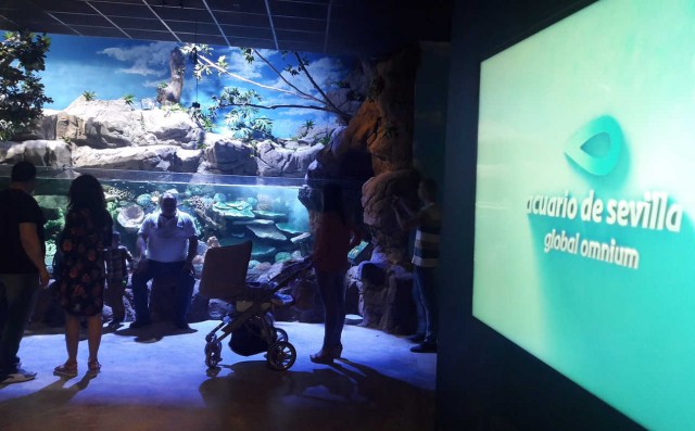 Global Omnium inaugura el nuevo Acuario de Sevilla
