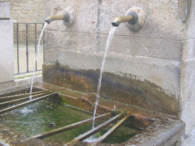 Un surtidor rural de homeopatía bien fresquita. - 