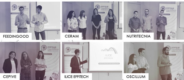 Premian seis ideas innovadoras en la Maratón de Creación de Empresas de la UMH

