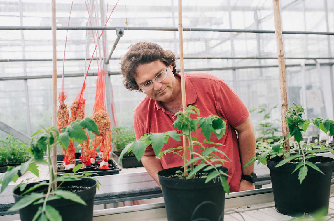 JM Mulet: «Comemos como si tuviéramos que acumular grasas por si en una semana no cazamos»