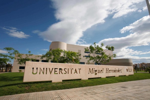La UMH, a la cabeza en creación de spin-offs y entre las más activas en empleabilidad
