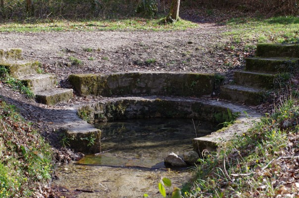 La font de l'eterna joventut