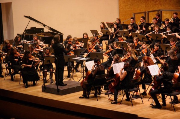 Música sobre el agua: la Orquesta de Aspirantes dará un concierto en el parque La Marjal 
